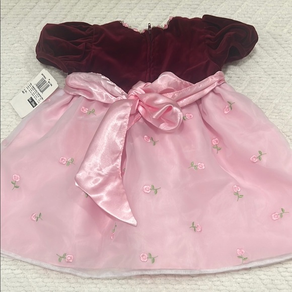 Vintage Dress Baby Toddler  Pink Maroon Roses Velvet Tulle Girl Formal Easter - Picture 9 of 11